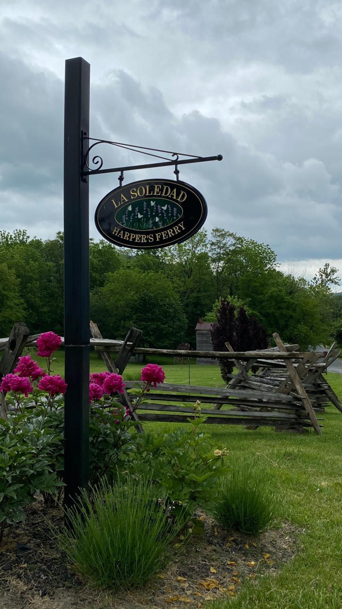 La Soledad Lavender Farm And Guesthouse Harpers Ferry Eksteriør billede