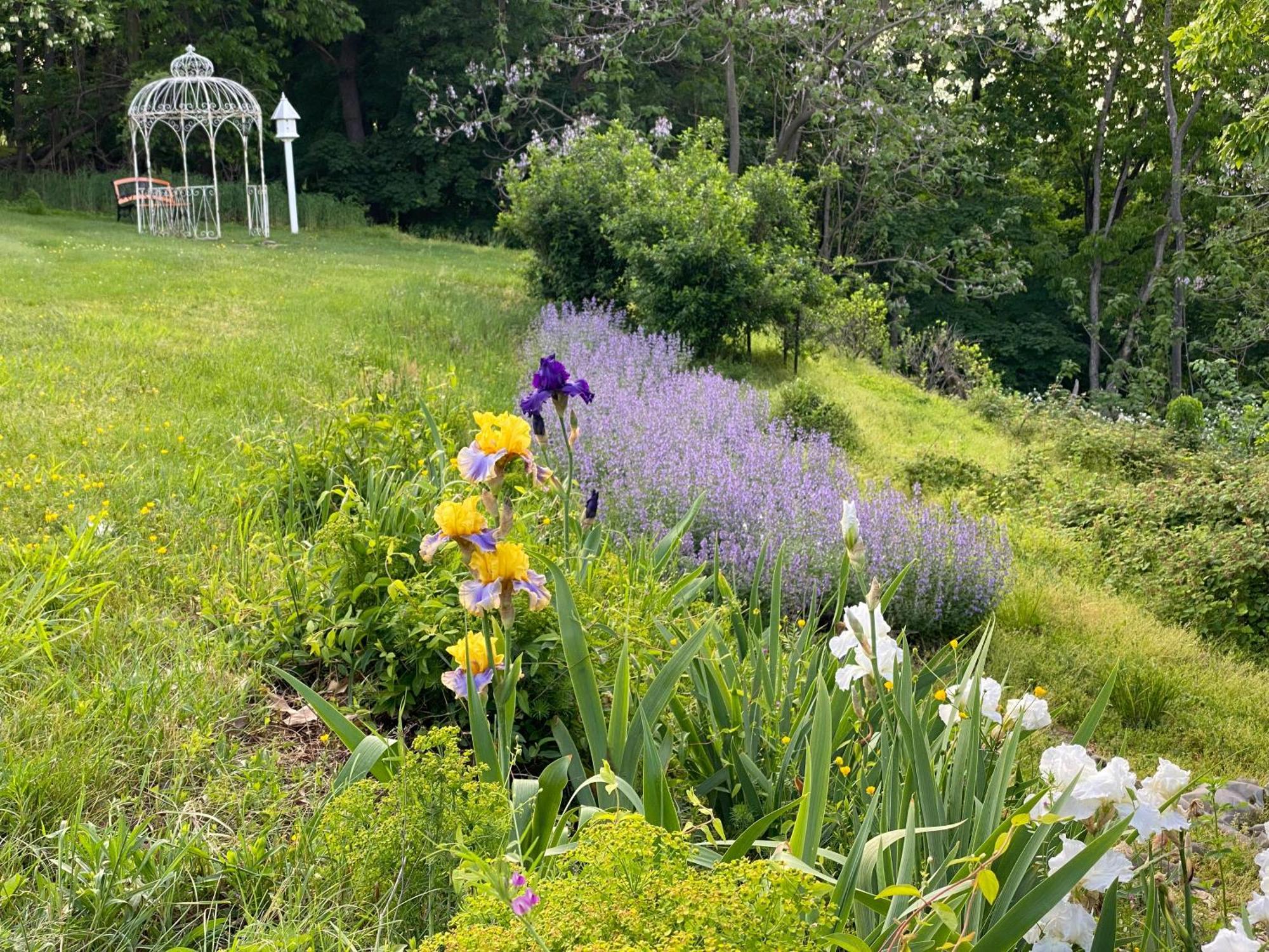 La Soledad Lavender Farm And Guesthouse Harpers Ferry Eksteriør billede