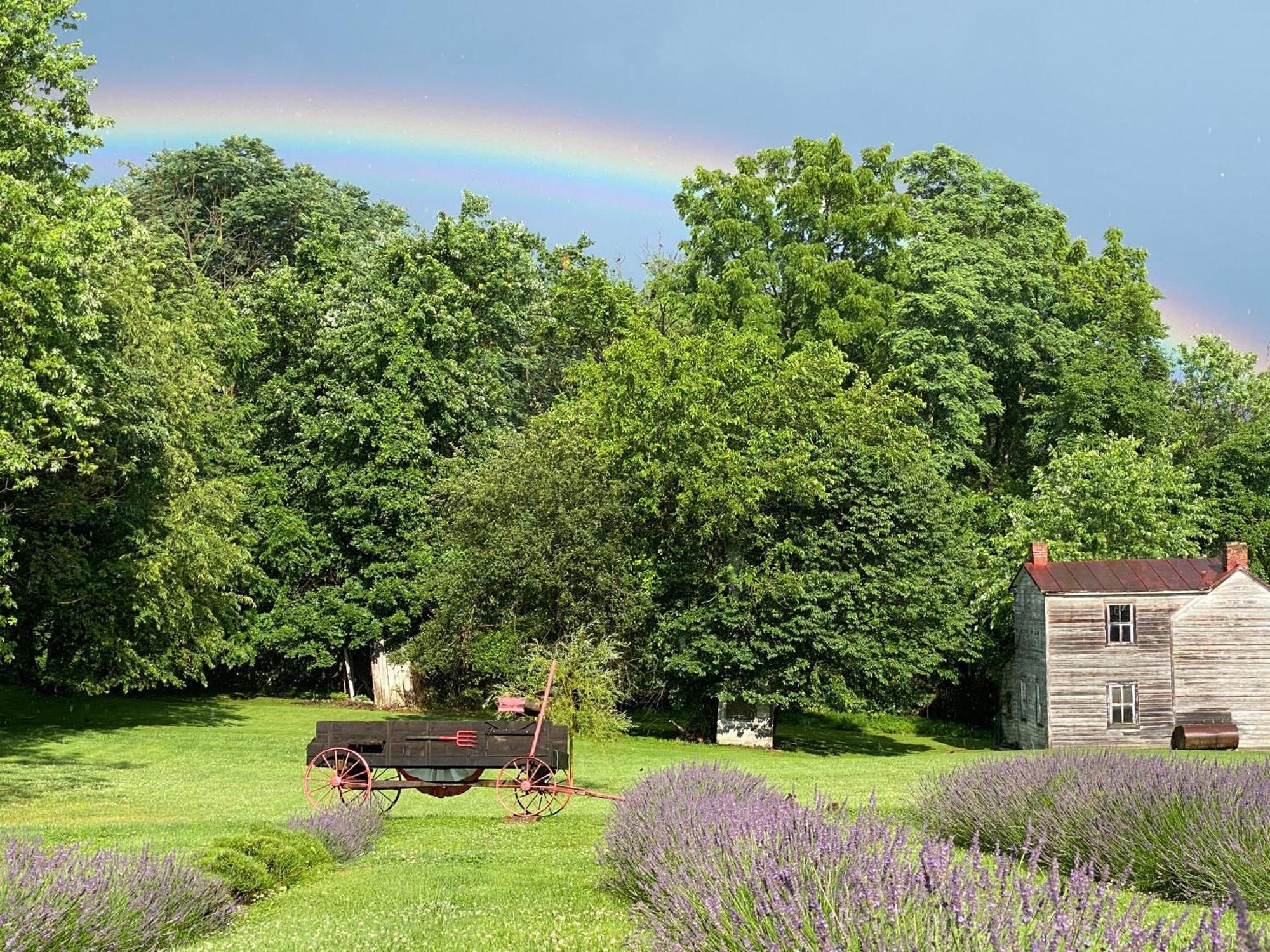 La Soledad Lavender Farm And Guesthouse Harpers Ferry Eksteriør billede